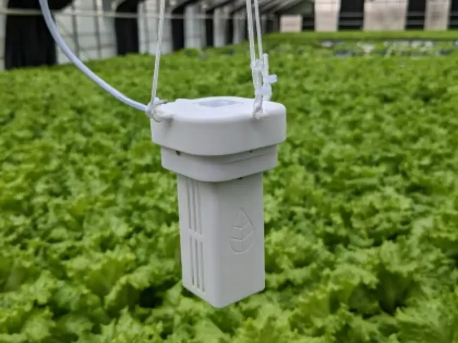 Indoor Farm Monitoring & Automation System